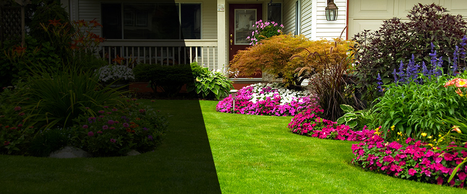 Rockwell Landscapers