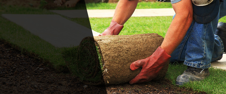 Rockwell Landscapers